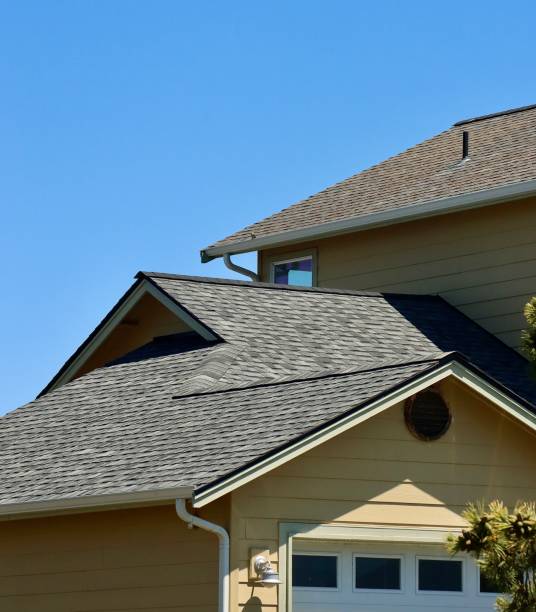 Best Solar Panel Roofing Installation  in Linden, TX